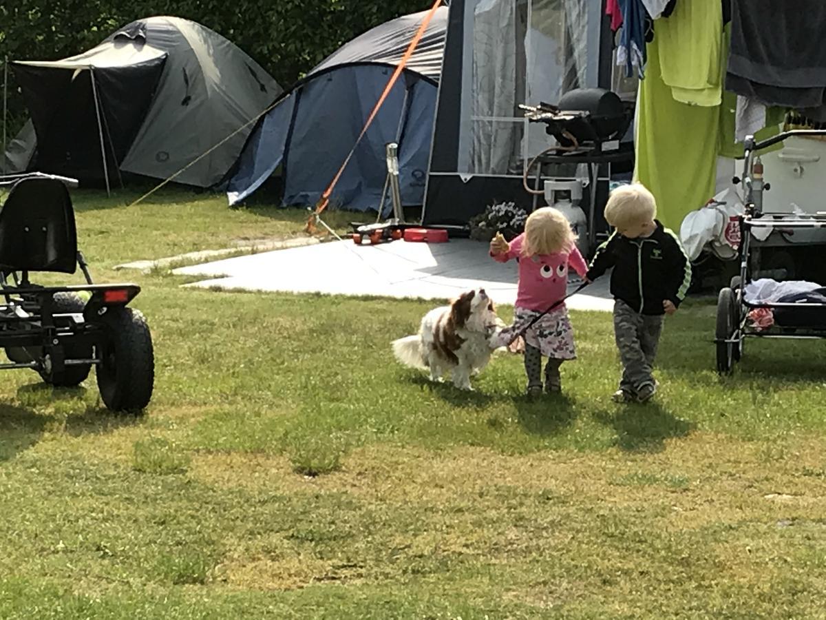 Campingplads Vorbasse Camping